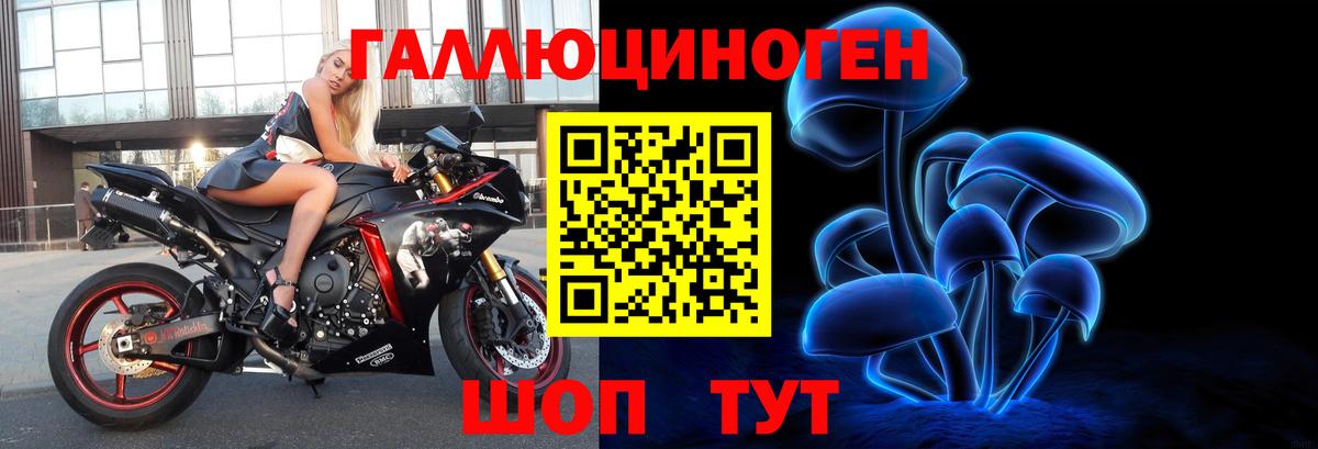 Псилоцибиновые грибы мицелий Коммунар